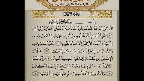 تلاوة تشرح الصدر للقارئ سعد الغامدي