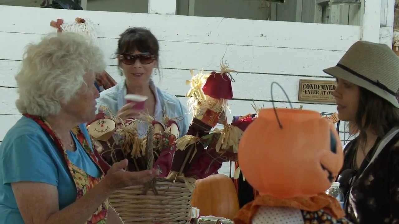 Peter Pumpkin Patch, Spring Hill Dairy, Petaluma YouTube