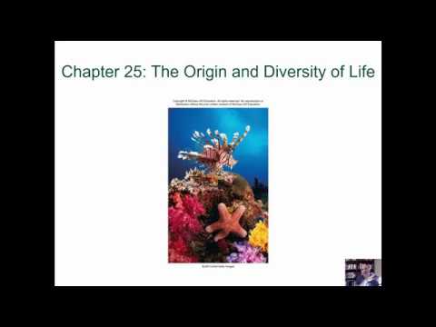 BIOL 1407 Lecture 25 The Origin and Diversity of Life - YouTube