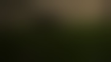 The last of us 2 - Abby