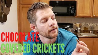 Chocolate Covered Crickets | Cooking with Bugs