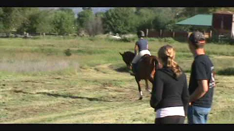 Taukalot & Jordan McNabb, Don Sachey Lesson