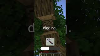 Minecraft, But You Can Find Diamonds Using An App screenshot 5