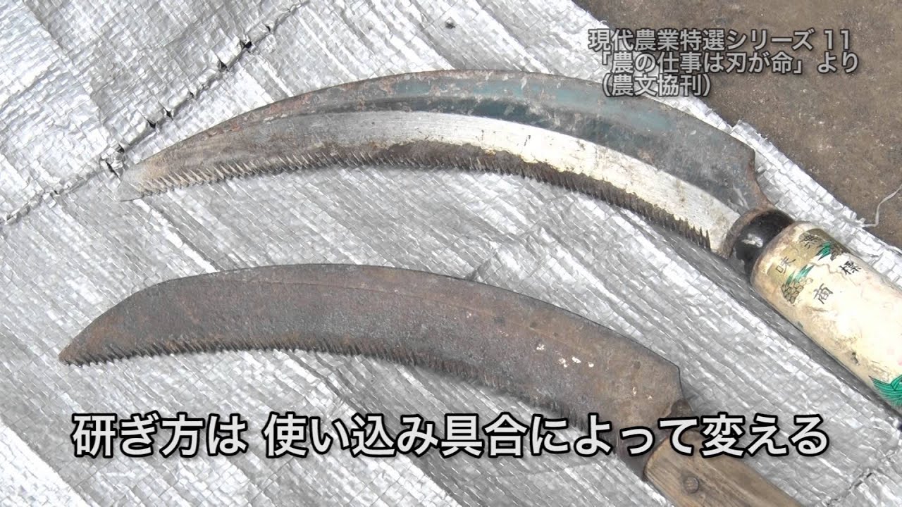 刃物等を使う作業、収穫等をされる方