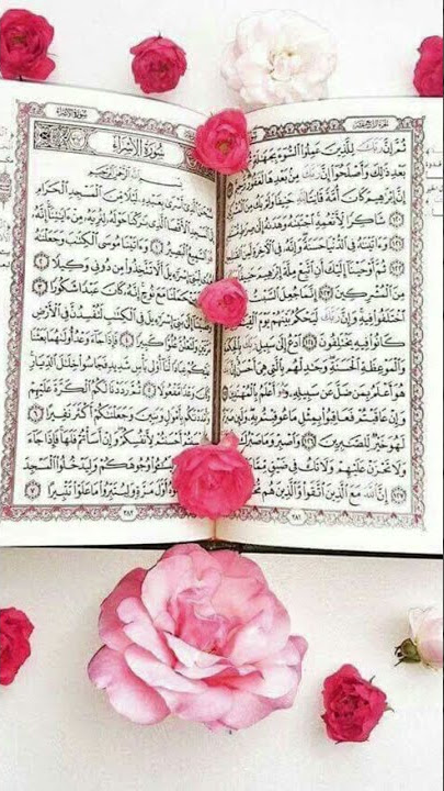 Best Recitation of Surah At-Takathur by Mishary Rashid Alafasy | LoveTheQuran
