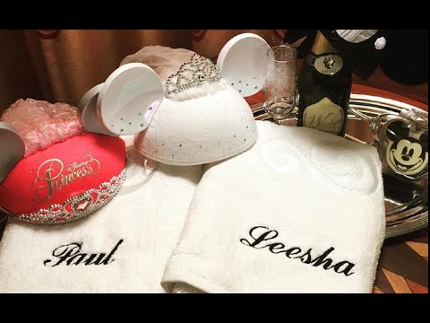 Disney Honeymoon! Day 1 Snap Story