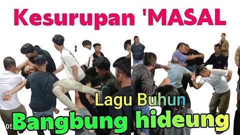 Bangbung hideung 