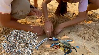 Catching SEA CREATURES LIVING IN THE SAND - Seashells, Crab, clam, shrimp, fish