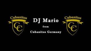 DJ Mario - Soulful House 2024#2