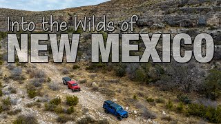 Into the Wilds of Southern New Mexico