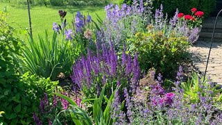 Planning your seeds, when to plant according to your last frost date.  Spring planting guide.