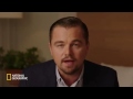 Capture de la vidéo Leonardo Dicaprio