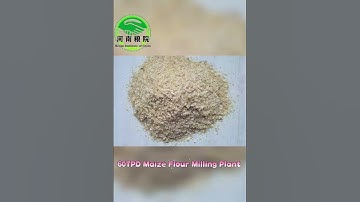 60TPD Maize Flour Milling Plant