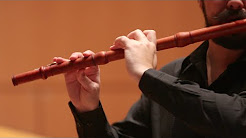 Telemann : Concerto per flauto dolce e flauto traverso (IV. Presto)