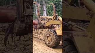 Logging Truck On Mud