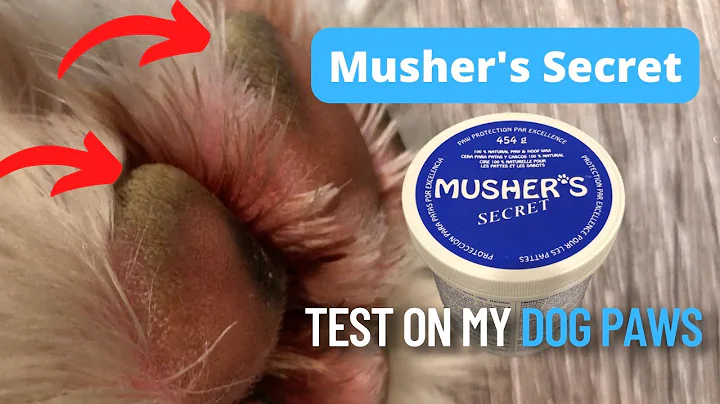 Giải pháp đặc trị chân và móng chó với Musher's Secret!