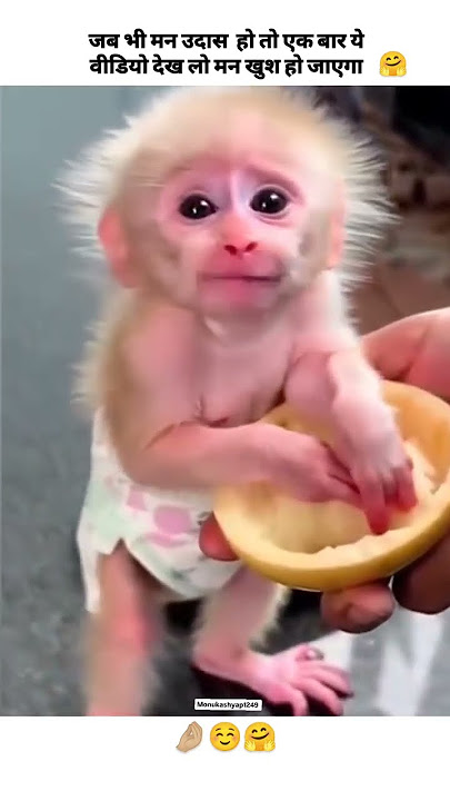 Ujade se lamho ko Aas Teri | Aas Teri | Shreya Ghoshal | Amezing  Lyrics #trending​ #shreyaghoshal​