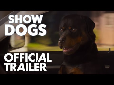 Video: Hoe Krijg Je Je Hond Op De Netflix-show 'Dogs