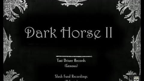 the Fizz Fuzz  - Dark Horse II (Official Video)