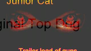 Video thumbnail of "Jr Cat Trailor load of guns"
