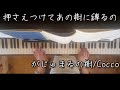 がじゅまるの樹/Coccoを演奏しました