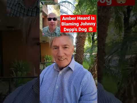 Amber Heard is Blaming Johnny Depp's Dog