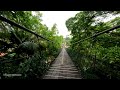 Walking over the longest suspension bridge in Malaysia at Sunway Lagoon.