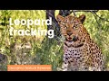 Okonjima Nature Reserve Leopard tracking in Namibia