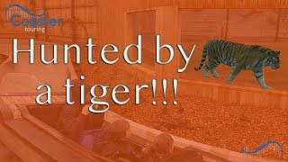 Tiger Rock Off Ride On Ride POV Chessington Land of the Tiger