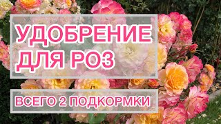 Мои удобрения для роз | две подкормки за сезон | Мой опыт 🔬