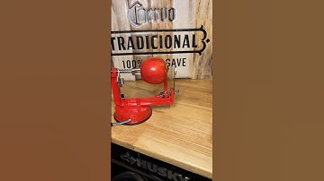 How to properly peel an apple! #shorts