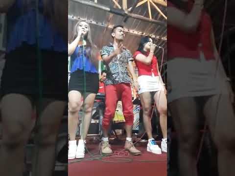 Dangdut hot pamer CD