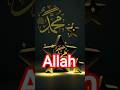 💖Allah 💖Allah 💖 Allah 💖❤️❤️❤️❤️❤️❤️❤️❤️❤️❤️🤲🤲🤲🤲🌺🌺🌺💔💔🌿🌿🌿🌿🌷🌷👍👍👍🤩💕💛💗🌱