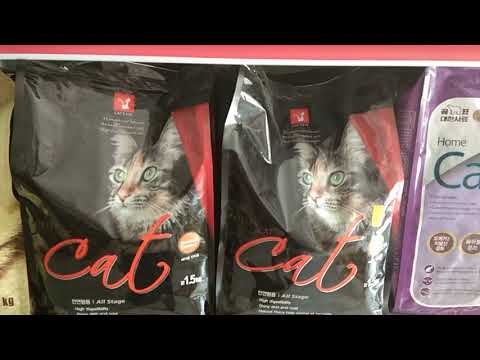 Video: Makanan Kucing Apa Yang Premium?