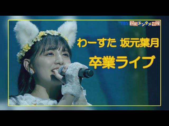 坂元葉月卒業ライブ　フォトアルバム sddefault.jpg