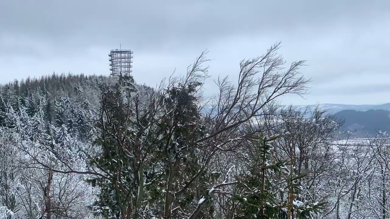 DZIKOWIEC - 2026 - 13