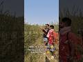 ek sath do - do labour 😂 #khetibadi #farming #farmingfunnyshorts #ytshorts #shortsfeed #shortsviral