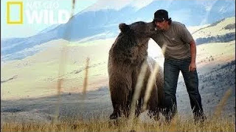 Documentary National Geographic Wild Wildest Explo...