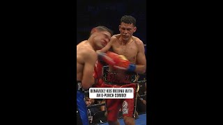 Benavidez KOs Medina With an 8-Punch Combo!