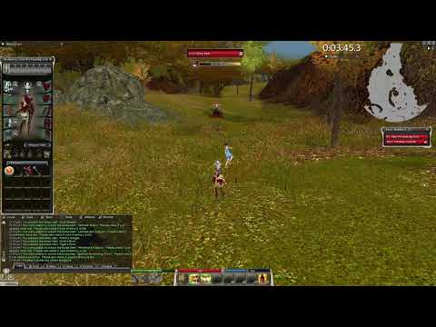 Pre Searing Taming Charming A Black Bear Guild Wars 