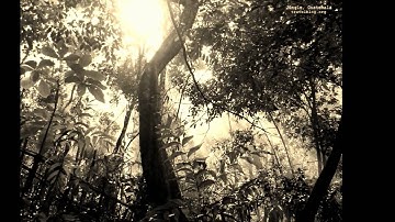 Ahmed Bukhatir - Forgive Me