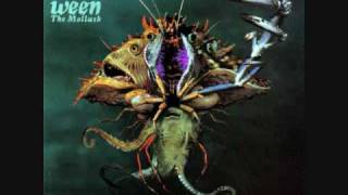 Song of the Day 4-4-10: Ocean Man by Ween