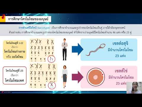 วิทยาศาสตร์และเทคโนโลยี ม 3 หน่วยที่2 พันธุกรรม