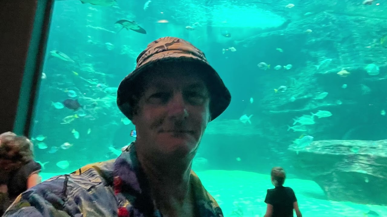 🇿🇦Jot w Two Oceans Aquarium. Cz1.