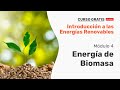 Energía de la Biomasa - Energías Renovables