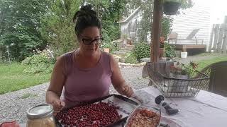 La cerise griotte, c'est tellement bon !!