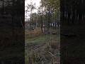 Опять сломал козырек👿 #mtb #crash #downhill #fail