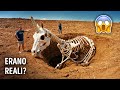Sì, gli Unicorni Erano Real: Scopri la Vera Storia