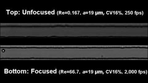 19 μm polystyrene microsphere focusing: MovieS2