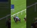 A remarkable finish. Be sure to watch until the very end of the 2015 Lavazza Stakes | #shorts